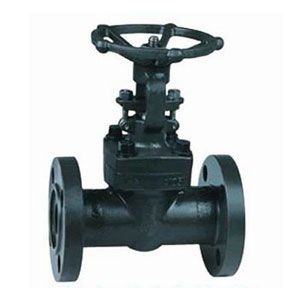 鍛鋼法蘭端截止閥